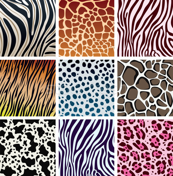 vector animal skin textures Stock photo © freesoulproduction