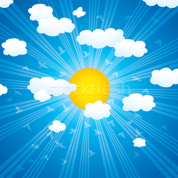 vector  clouds, sun rays and flying birds in the sky  Stock photo © freesoulproduction