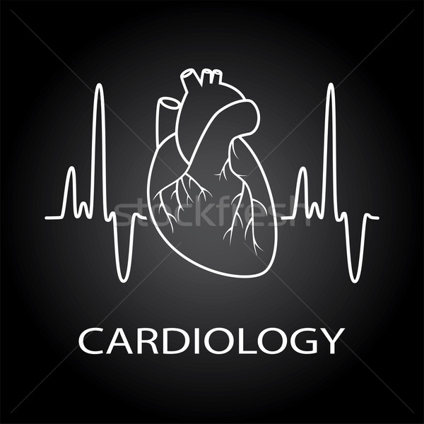 Vektor menschlichen Herz medizinischen Symbol Kardiologie Stock foto © freesoulproduction