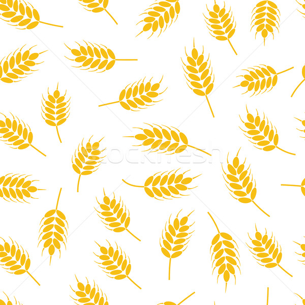 vector seamless wheat or rye pattern Stock photo © freesoulproduction