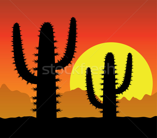 Vetor cacto deserto céu flor sol Foto stock © freesoulproduction