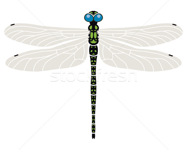 Wektora streszczenie Dragonfly symbol projektu sztuki Zdjęcia stock © freesoulproduction