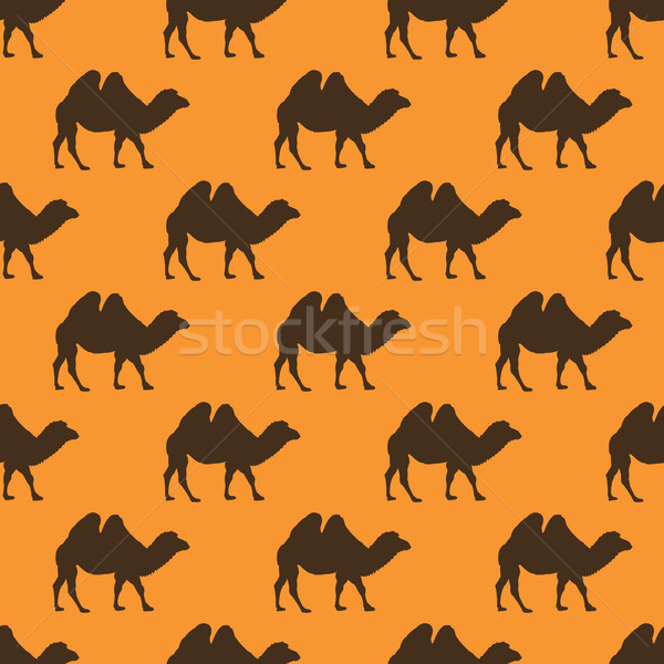 Vektor teve végtelen minta illusztráció sivatag afrikai Stock fotó © freesoulproduction