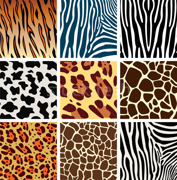 Foto stock: Vector · animales · piel · texturas · tigre · cebra