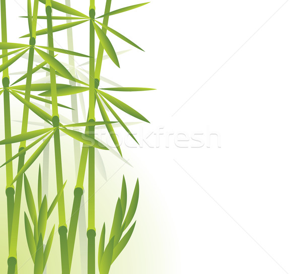 [[stock_photo]]: Bambou · texture · arbre · herbe · bois · forêt