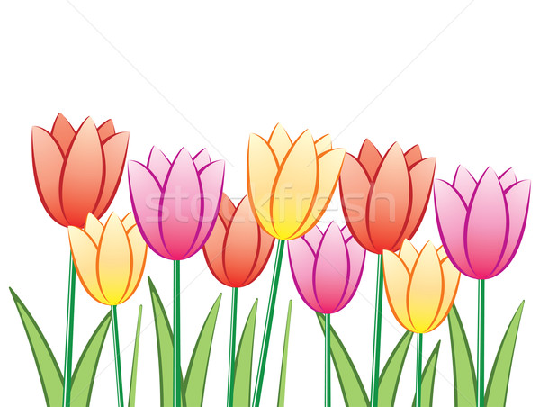 Vector colorido tulipanes primavera luz Foto stock © freesoulproduction