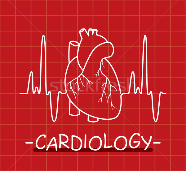 Vektör insan kalp ince hat Stok fotoğraf © freesoulproduction