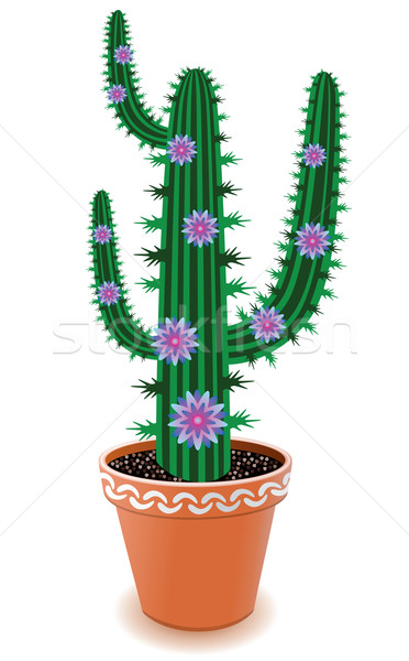 Stock photo: vector pot cactus 
