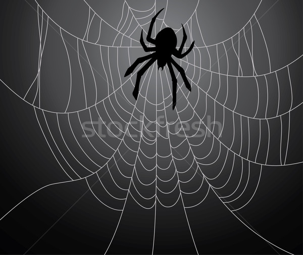 spider and the web  Stock photo © freesoulproduction