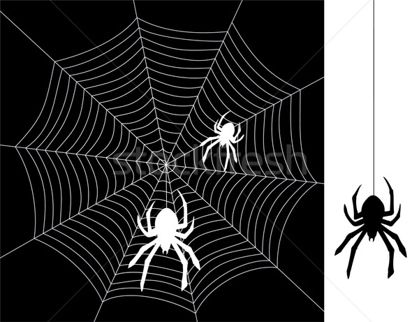 vector spiders and web Stock photo © freesoulproduction