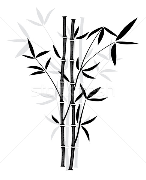 商业照片: 向量 ·竹· 黑白 · 插图 · 质地 ·树