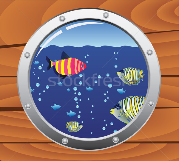 porthole and colorful fishes Stock photo © freesoulproduction