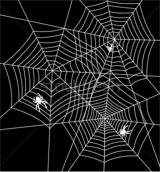 vector spiders and webs  Stock photo © freesoulproduction