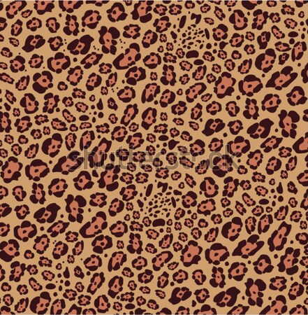 vector animal skin pattern of leopard  Stock photo © freesoulproduction