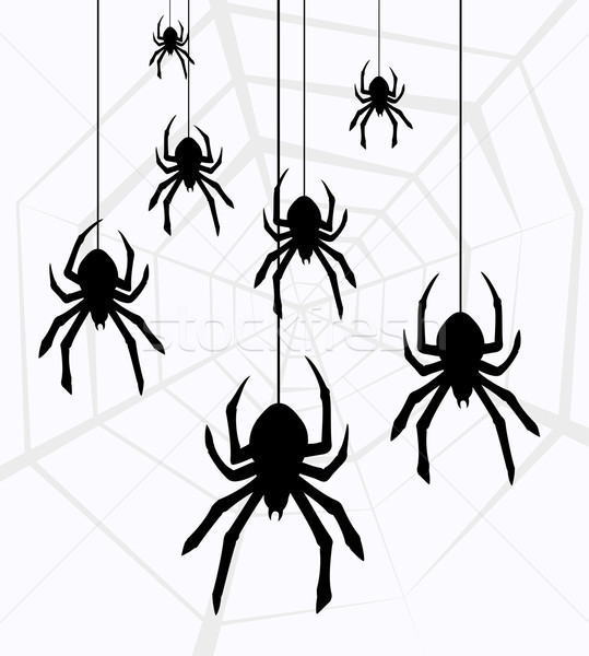 vector hanging spiders and web Stock photo © freesoulproduction