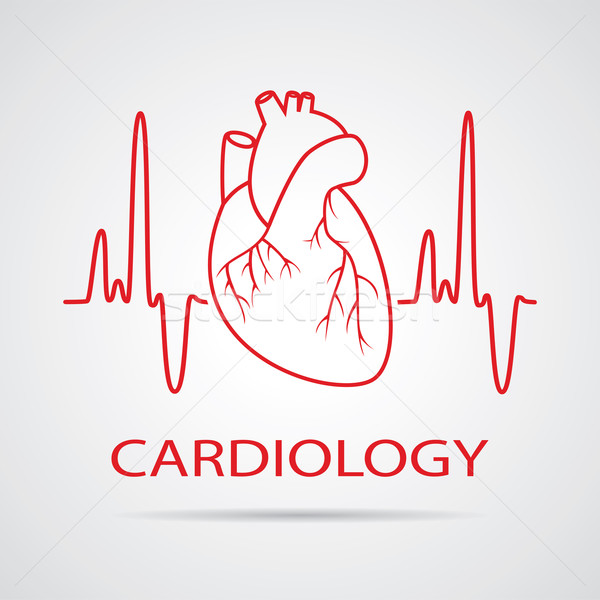 vector human heart medical symbol of cardiology Stock photo © freesoulproduction