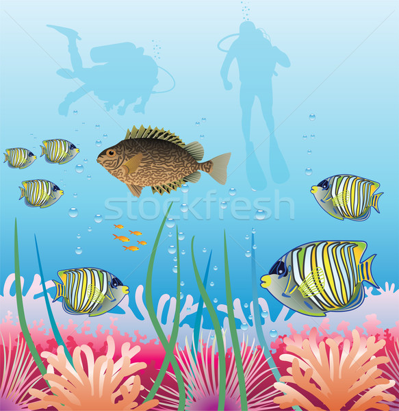 tropical fishes and scuba divers Stock photo © freesoulproduction