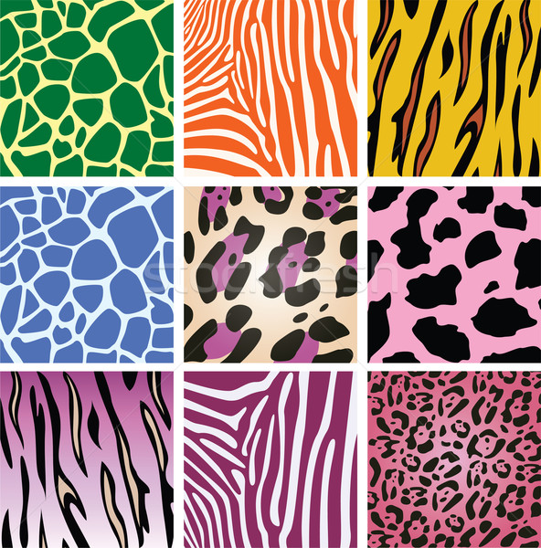 vector colorful animal skin textures  Stock photo © freesoulproduction