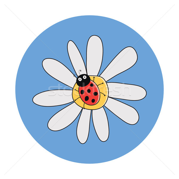 vector  red ladybird on a camomile flower Stock photo © freesoulproduction
