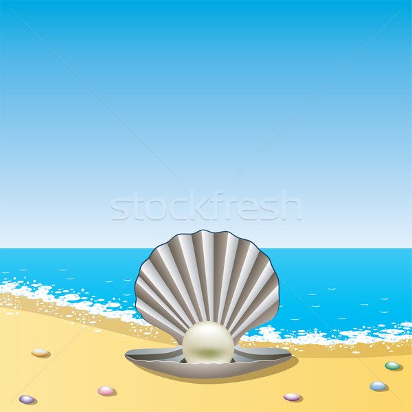 sea shell with pearl on the sea shore Stock photo © freesoulproduction