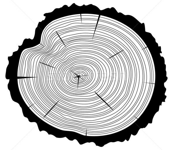 Vektör siyah beyaz ahşap kesmek ağaç ortak merkezli Stok fotoğraf © freesoulproduction