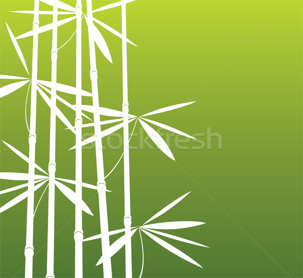 ストックフォト: 竹 · テクスチャ · ツリー · 草 · 森林 · 抽象的な