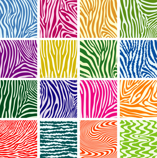 Vektor színes bőr textúrák zebra szett Stock fotó © freesoulproduction