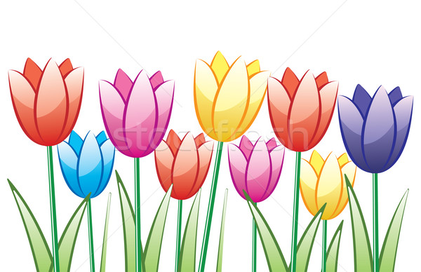 [[stock_photo]]: Vecteur · coloré · tulipes · printemps · lumière