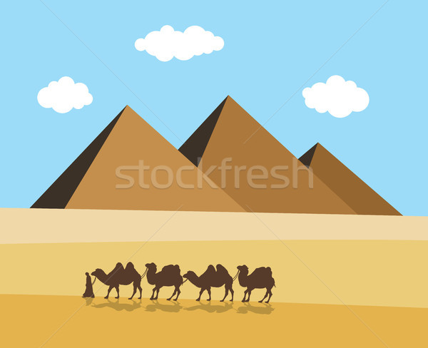 vector camels and bedouin in desert with egyptian pyramides Stock photo © freesoulproduction
