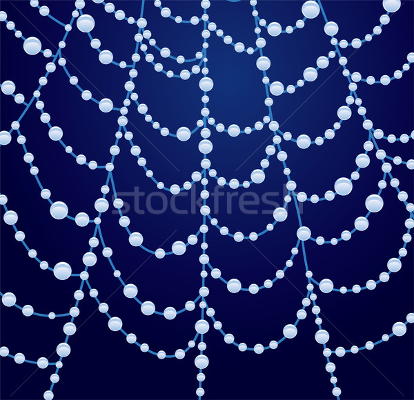 Spinnennetz Wassertropfen Vektor Licht Design Rahmen Stock foto © freesoulproduction