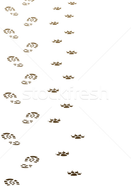 Kirli ayak vektör adam köpek dizayn Stok fotoğraf © freesoulproduction