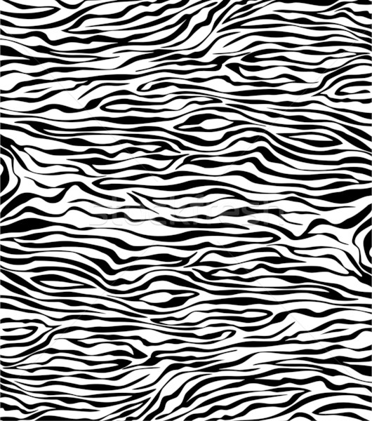 vector abstract skin texture of zebra Stock photo © freesoulproduction