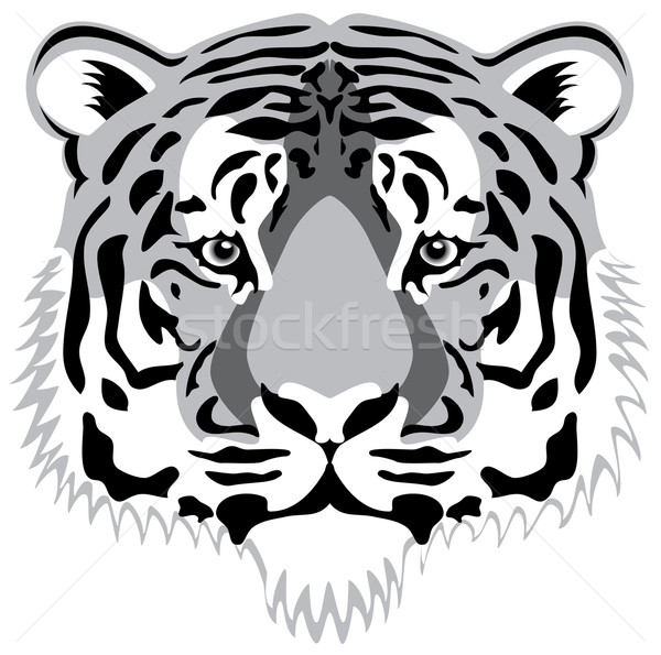 Wektora Tygrys głowie człowiek oczy charakter Zdjęcia stock © freesoulproduction