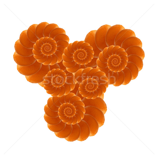 Oranje vruchten fractal kunst zomer oranje witte Stockfoto © freesoulproduction