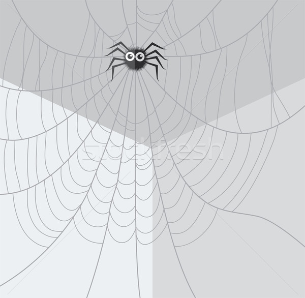 Vetor desenho animado teia da aranha rede canto quarto Foto stock © freesoulproduction