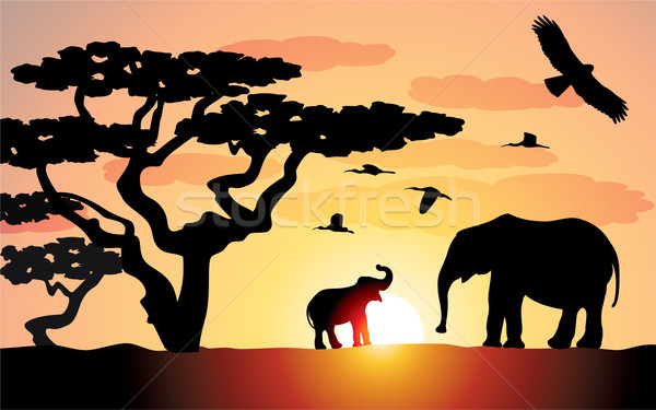 vector elephants in africa Stock photo © freesoulproduction
