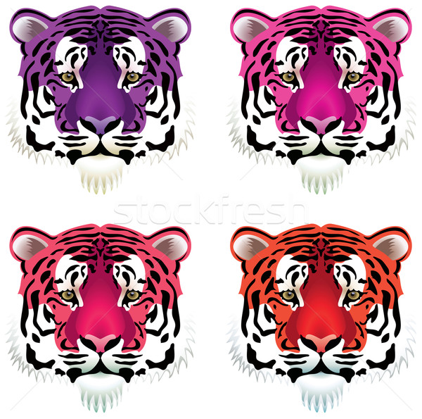 vector tiger heads Stock photo © freesoulproduction