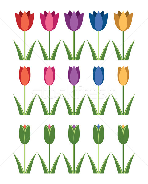 Сток-фото: вектора · набор · красочный · Tulip · иконки · аннотация