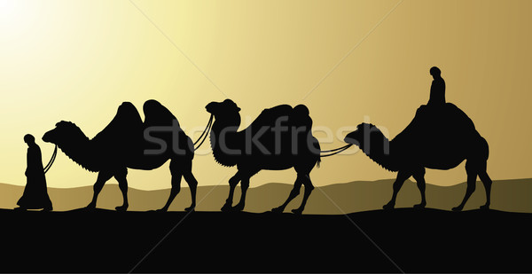 Camelos deserto pôr do sol verão preto silhueta Foto stock © freesoulproduction