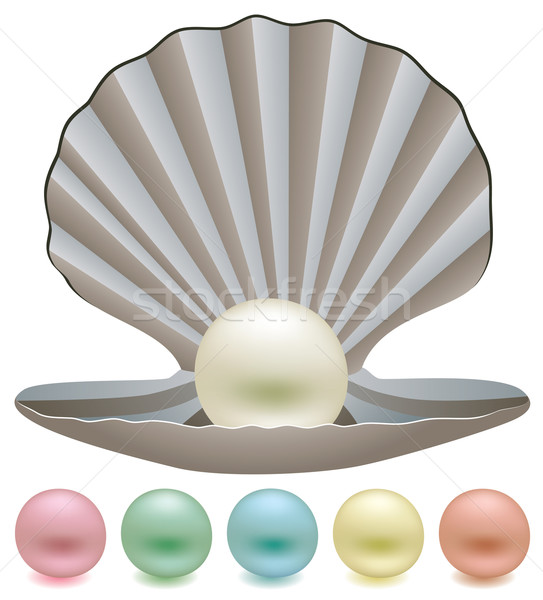 vector pearls and a shell Stock photo © freesoulproduction