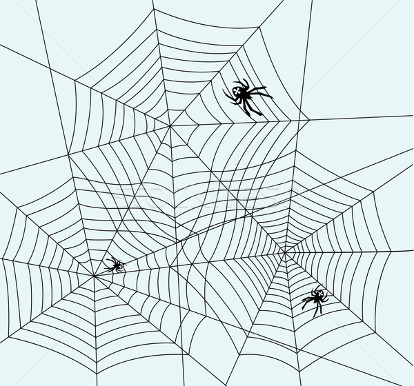 vector spiders and webs Stock photo © freesoulproduction