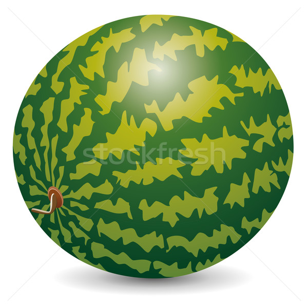 vector watermelon vector illustration © freesoulproduction (#1956874