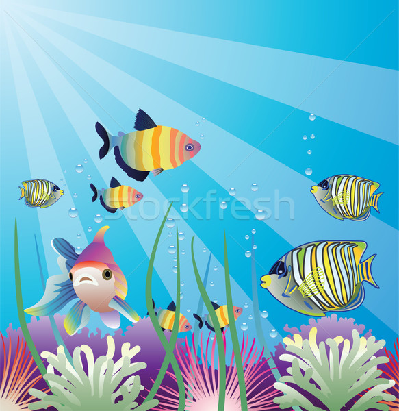 underwater vector of tropical fishes Stock photo © freesoulproduction