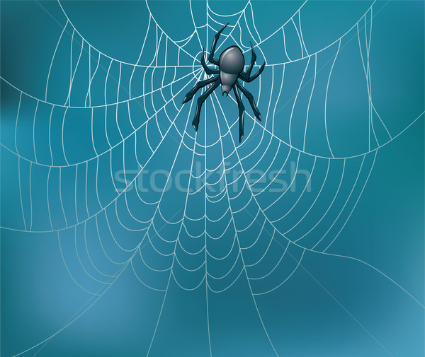 vector spider and web Stock photo © freesoulproduction