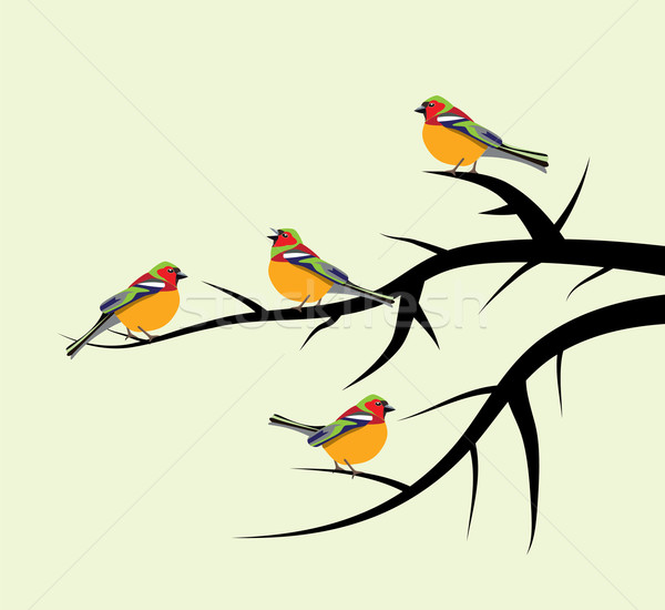 vector birds on tree branches Stock photo © freesoulproduction