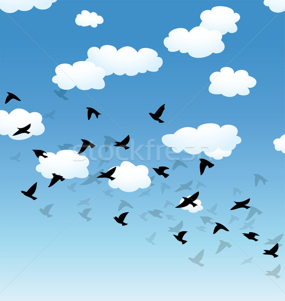 vector flying birds and clouds in the sky Stock photo © freesoulproduction