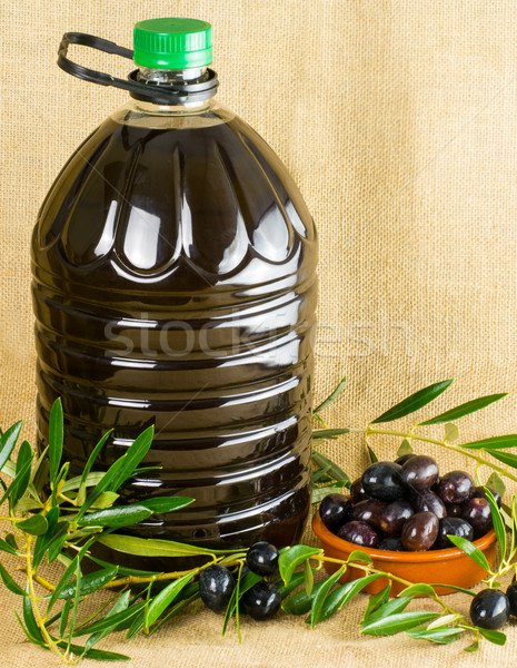 Olive oil Stock photo © Freila