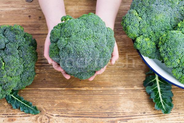 Broccoli Stock photo © Freila