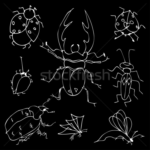 butterflies and bugs. Stock photo © frescomovie