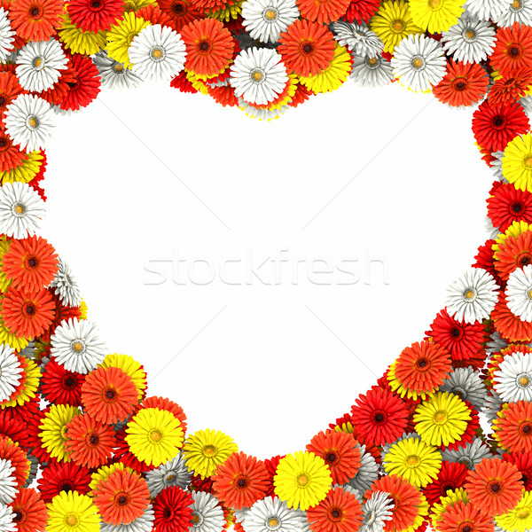 gerberas Stock photo © frescomovie